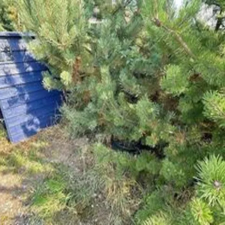 Holiday home 5 Star In Vaeggerlose Boto By