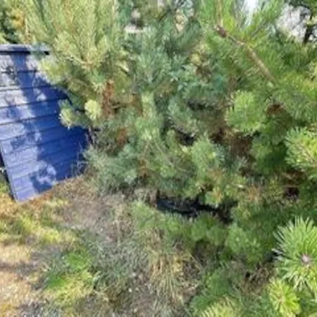 5 Star In Vaeggerlose Holiday home